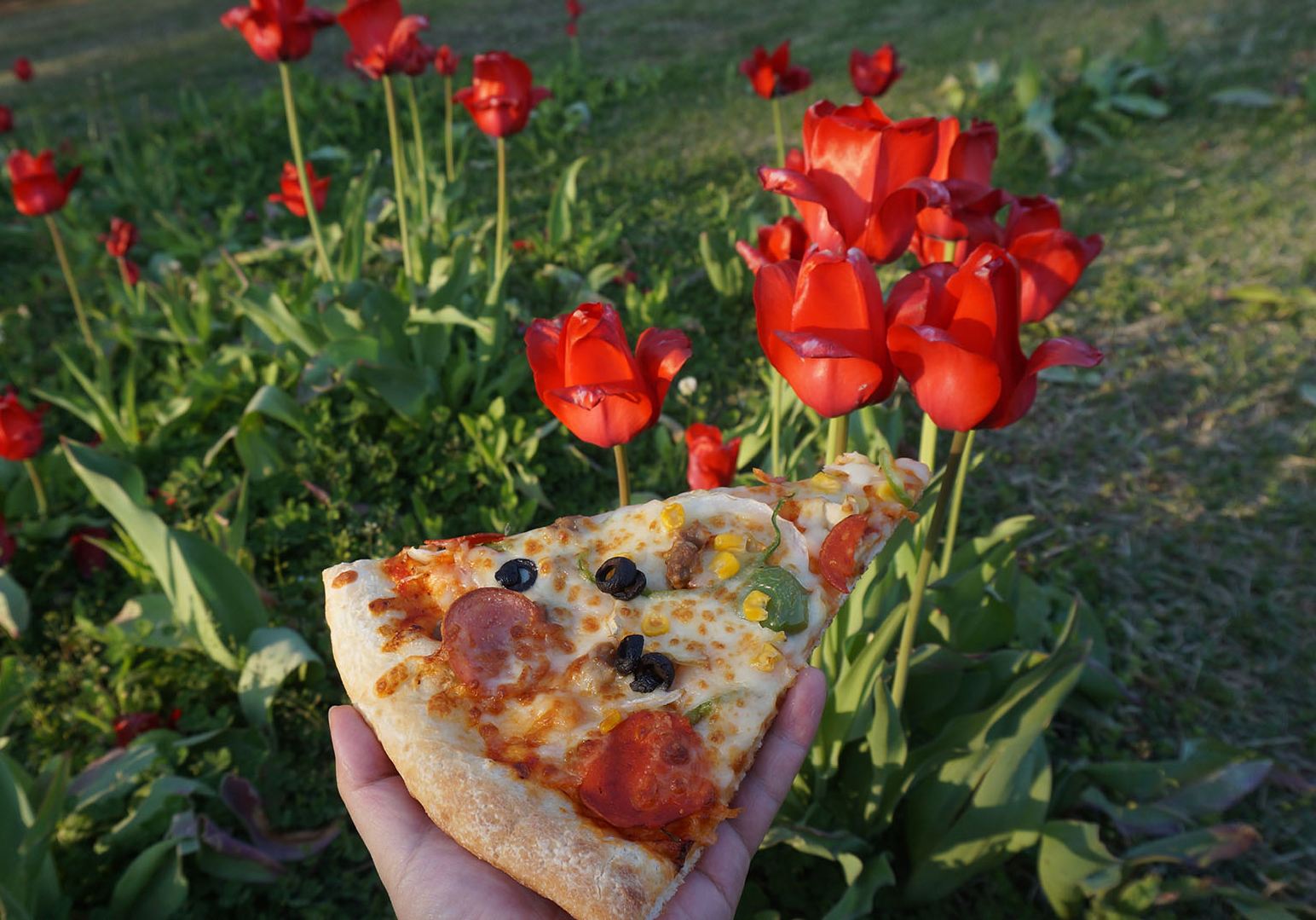 꽃과 피자