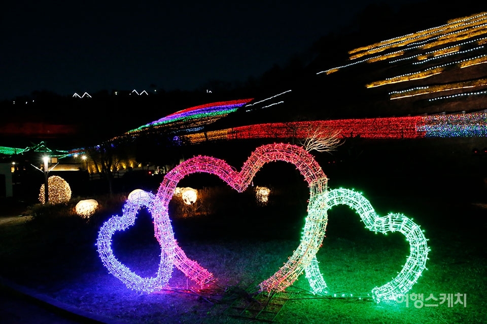 12월 14일부터 내년 1월 13일까지 보성군에서 열리는 보성차밭빛축제. 사진 / 보성군청