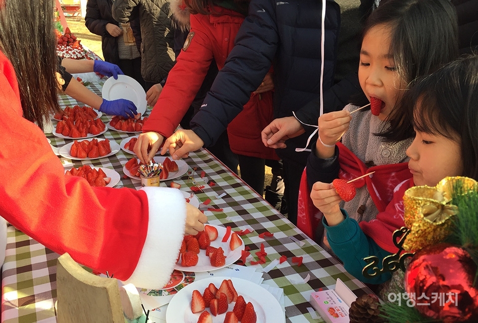 개장식에서 딸기 시식을 하고 있는 어린이들. 사진 / 유인용 기자