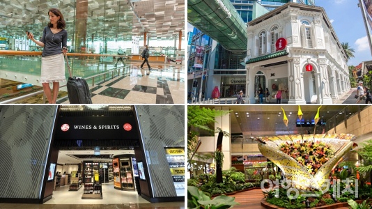 다양한 경험을 즐길 수 있는 싱가포르의 모습. 사진 출처 / 싱가포르관광청 홈페이지