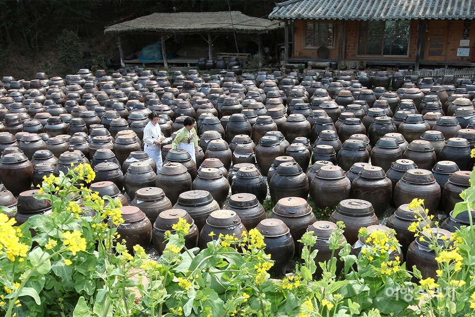 전남 담양군 창평면에 자리한 기 명인의 장고지. 사진제공 / 고려전통식품