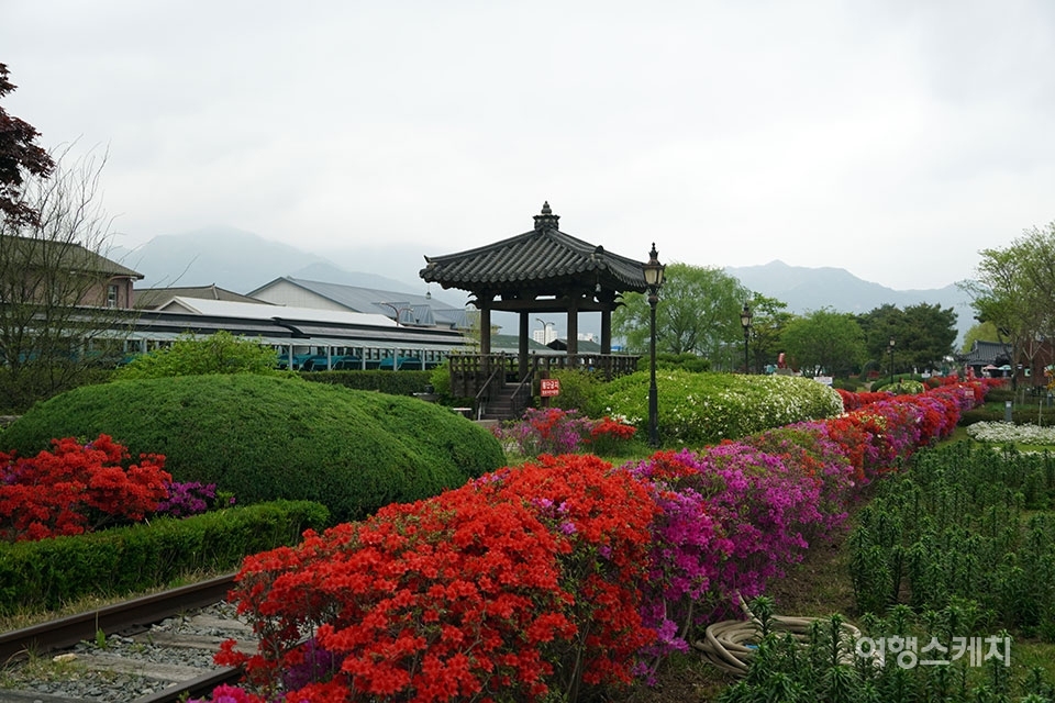 4월의 곡성은 철쭉으로 가득하다. 사진은 기차마을의 모습. 사진 / 김세원 기자