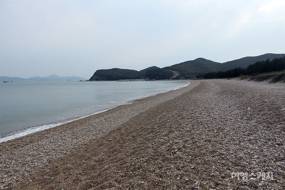 남포리 콩돌해안은 천연기념물 제392호로 지정되었다. 사진 / 박상대 기자