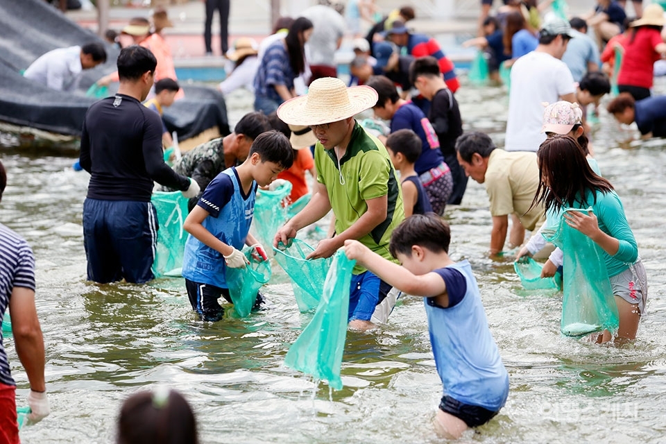 율포해변 활어잡기 페스티벌의 참가자들이 활어를 잡기위해 그물을 들고 있다. 사진제공 / 보성군청