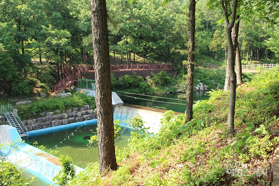 포레스트수목원 옆에 있는 구시골 계곡 옥외 수영장. 사진 / 박상대 기자