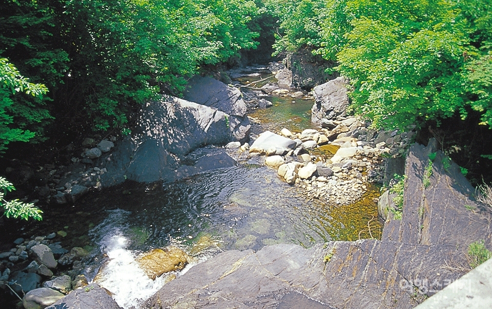 깊은 산골 계곡에는 사계절 맑고 찬 물이 흐른다. 2003년 8월. 사진 / 박상대 기자