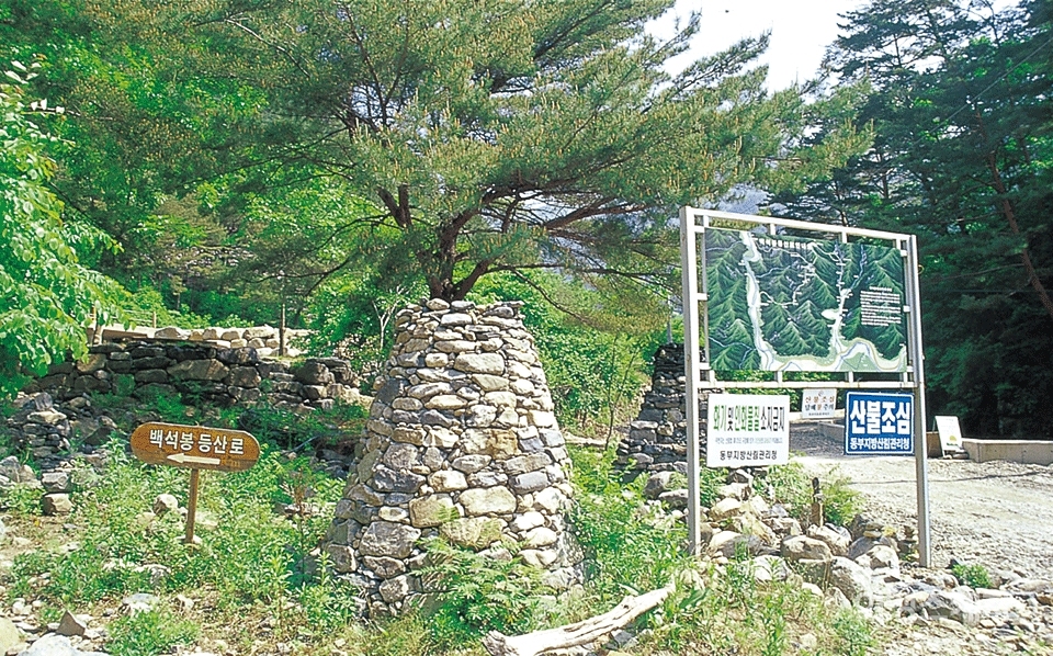 백석봉은 산나물과 약초를 채취하기 좋은 산이다. 2003년 8월. 사진 / 박상대 기자