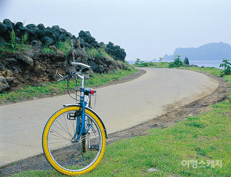 7시간을 넘게 우도의 곳곳을 함께 달린 자전거. 2003년 8월. 사진 / 김연미 기자