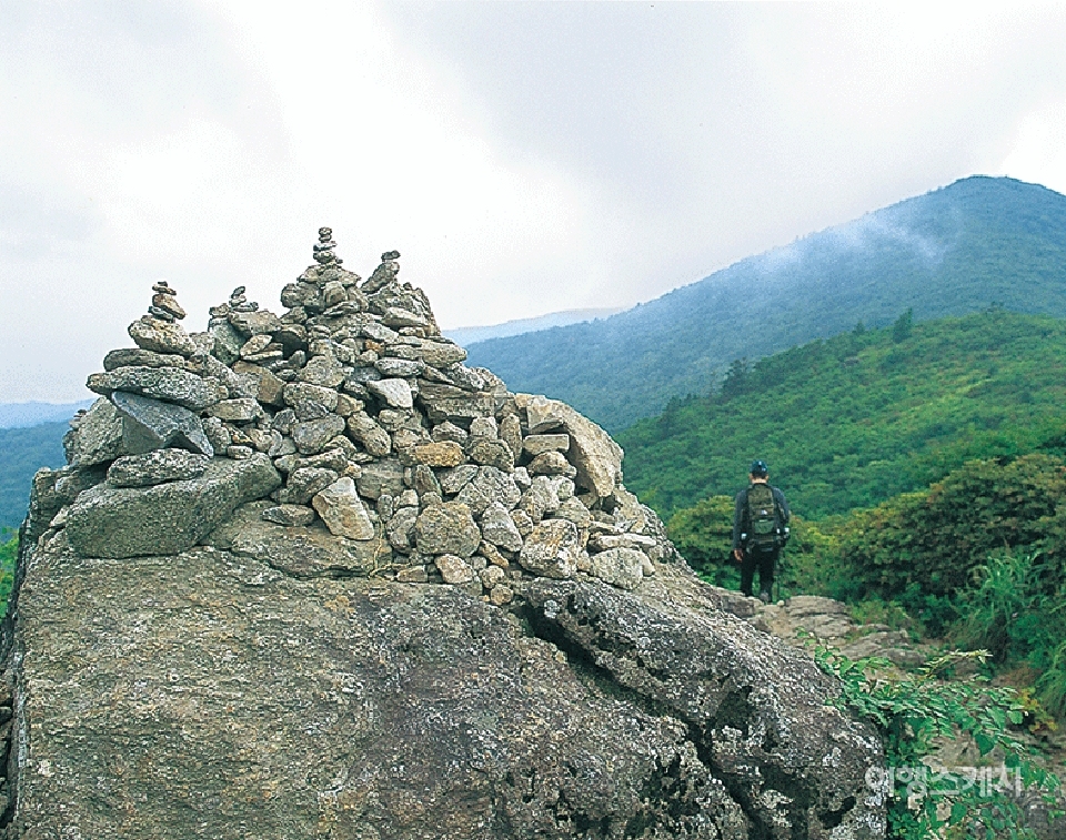 지리산은 거친 산이지만 또 푸근한 산이기도 하다. 2003년 9월. 사진 / 김연미 기자