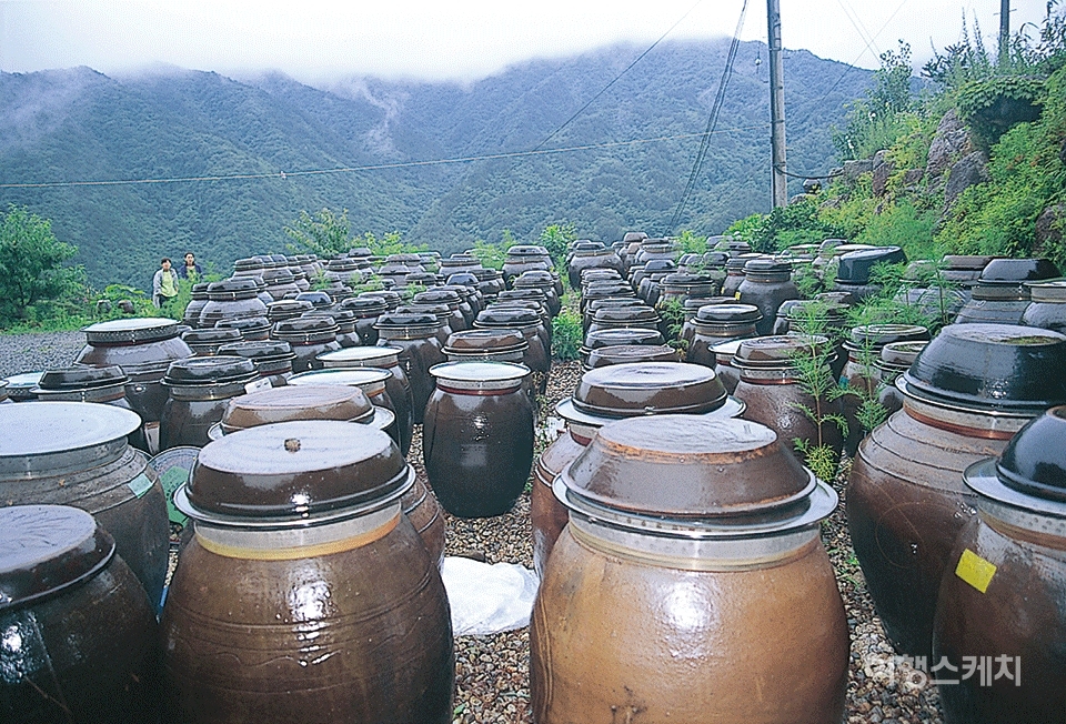 전통 옹기장의 풍경. 2003년 9월. 사진 / 박상대 기자
