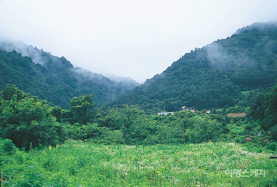 설악산 자락에 자리하고 있는 이 집은 자연환경과 전마이 좋은 명당에 자리잡고 있다. 2003년 9월. 사진 / 박상대 기자