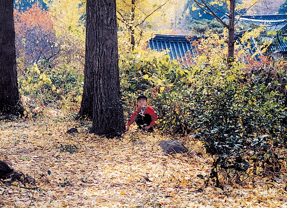 노란 은행잎이 산사를 뒤덮었다. 2003년 11월. 사진 / 한결가족