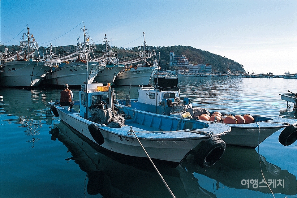 배들이 정박해 있는 대변항 풍경. 2004년 2월. 사진 / 김연미 기자