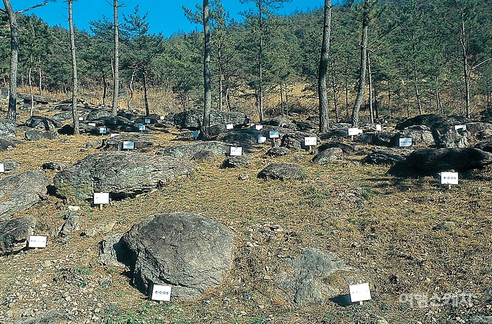 고인돌공원 풍경. 2004년 3월. 사진 / 김연미 기자