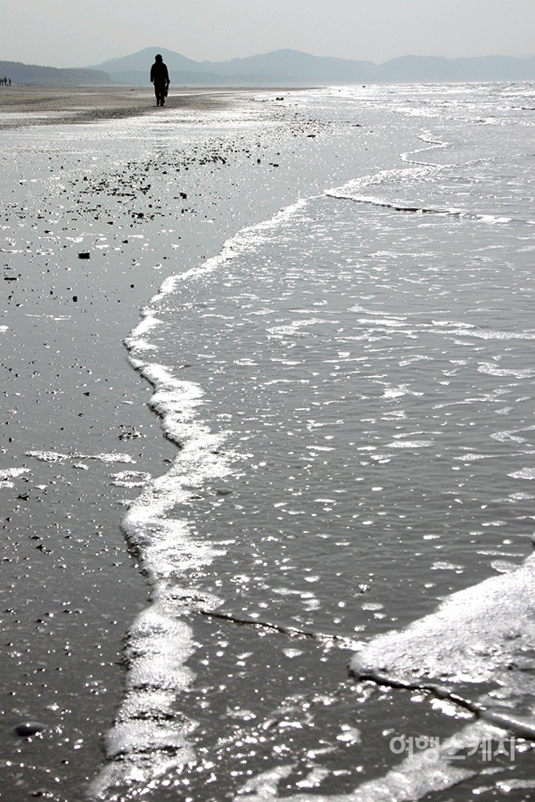 안면도 해수욕장은 어디서나 조개를 잡을 수 있다. 2004년 4월. 사진 / 김연미 기자