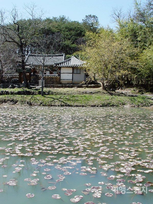 실상사에 있는 연못. 절과 미묘한 조화를 이룬다. 2004년 6월. 사진 / 구동관 객원기자