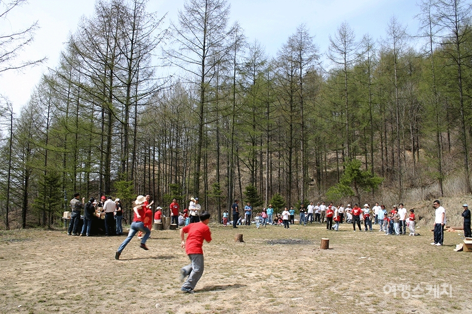 통나무 운동회가 열렸던 청태산 자연휴양림. 2004년 6월. 사진 / 이민학 기자