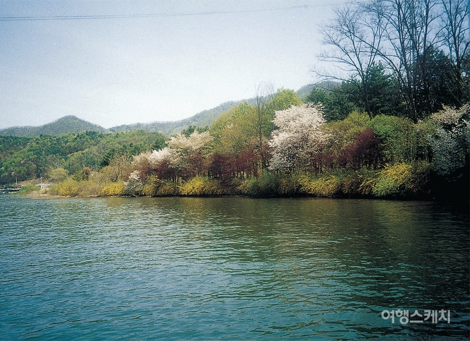 꽃으로 뒤덮인 남이섬. 2004년 6월. 사진 / 김선호 객원기자