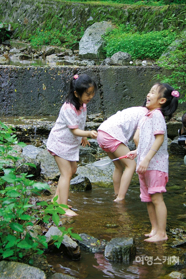 소금쟁이가 뜰채에서 튀어나가자 아이들이 웃고 있다. 2004년 8월. 사진 / 김연미 기자