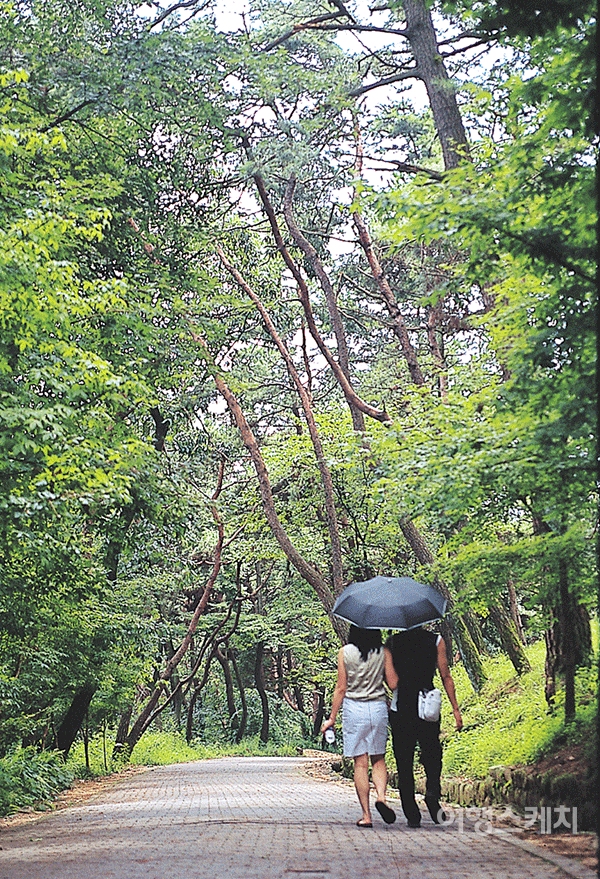 부소사 산책로. 2004년 10월. 사진 / 김연미 기자
