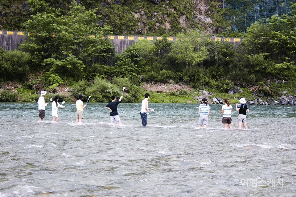 평창강에서 물고기 잡기를 하는 동호회 회원들. 2004년 10월. 사진 / 김정민 기자