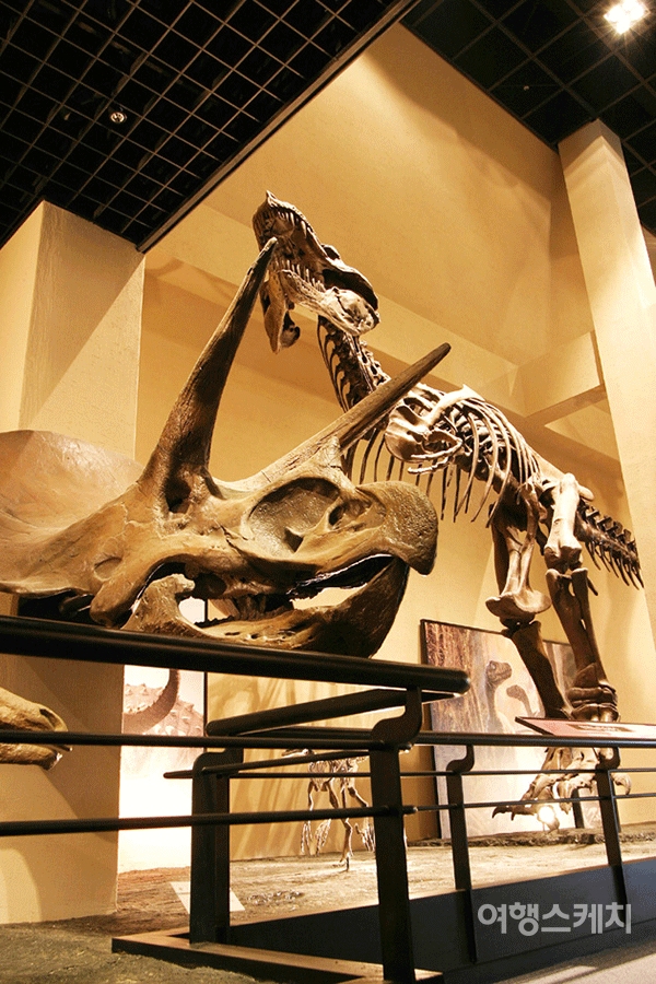 로비에 전시된 공룡골조물. 2005년 3월. 사진제공 / 공룡박물관
