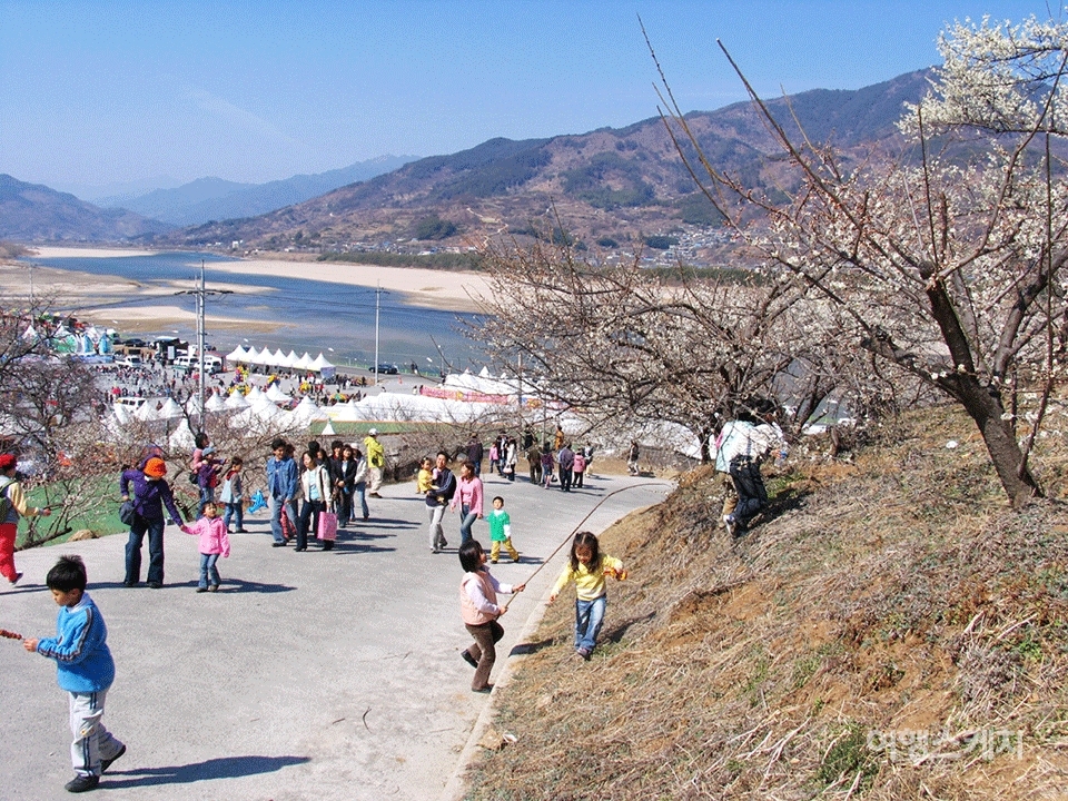 매실농원으로 오르는 산책로에 봄나들이 나온 사람들의 웃음소리가 넘친다. 2005년 5월. 사진 / 김진용 기자