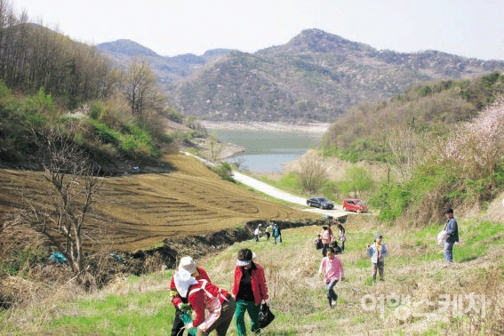 제천 산야초 마을 풍경. 2005년 6월. 사진 / 박지영 기자