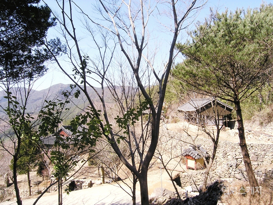 삼층석탑으로 가는 돌계단에서 바라본 금둔사 전경. 2005년 5월. 사진 / 김선호 객원기자