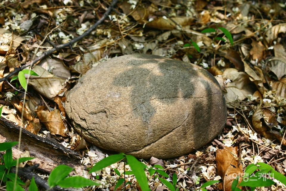 길가에 구르는 돌멩이지만 신라시대 전쟁 때 쓰인 강돌이다. 2005년 7월. 사진 / 황수현 인턴기자