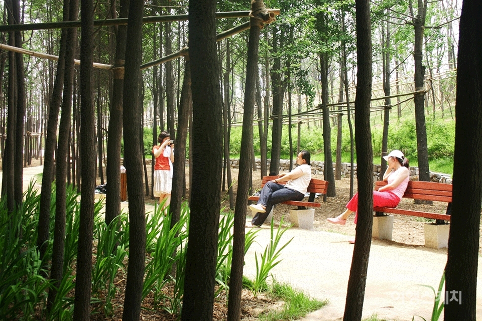 나무그늘 밑 넉넉한 오후의 여유를 즐기는 사람들. 2005년 8월. 사진 / 박지영 기자