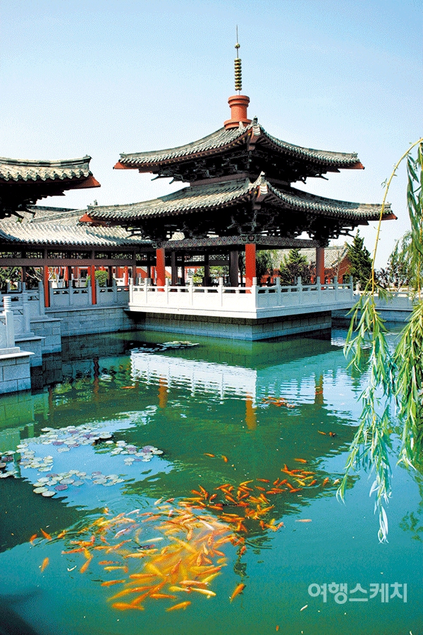 중국 적산법화원 풍경. 2005년 8월. 사진 / 이종원 객원기자