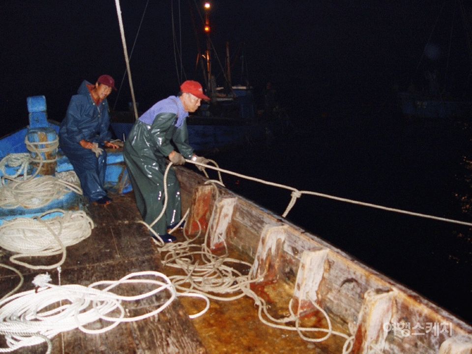 새벽 4시, 어둠 깊은 장호항에서 어부들이 정치망 작업을 하고 있다. 2005년 9월. 사진 / 구동관 객원기자