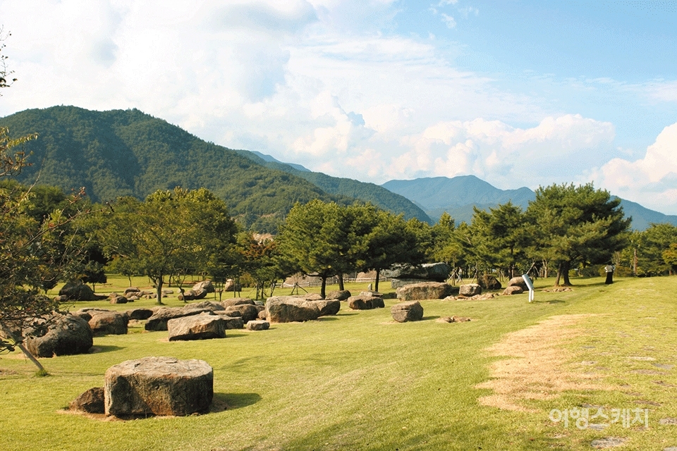 고인돌 공원의 넓은 잔디밭은 피크닉하기에 딱이다. 2005년 11월. 사진 / 박지영 기자