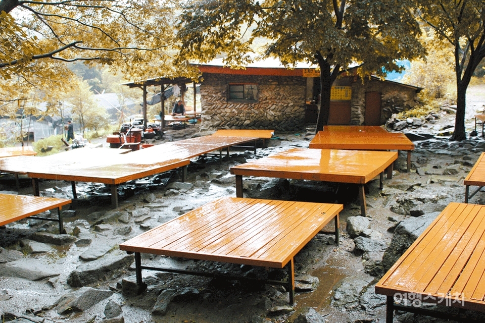 20년 전부터 한결같은 손맛으로 등산객들을 맞이하는 조계산 보리밥집. 2005년 11월. 사진 / 노서영 기자