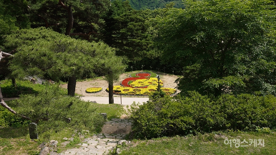 최근 도륜스님이 조성했다는 부처님 형상의 꽃밭. 사진 / 노규엽 객원기자