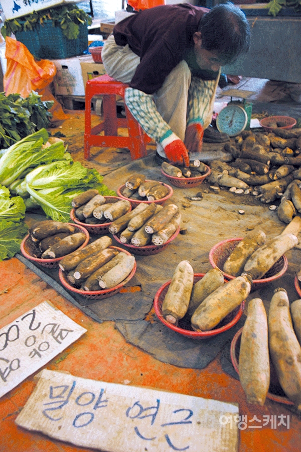 한 바구니 2천원 하는 연근을 팔기 위해 하루종일 허리굽혀 껍질을 깐다. 2006년 1월. 사진 / 박지영 기자
