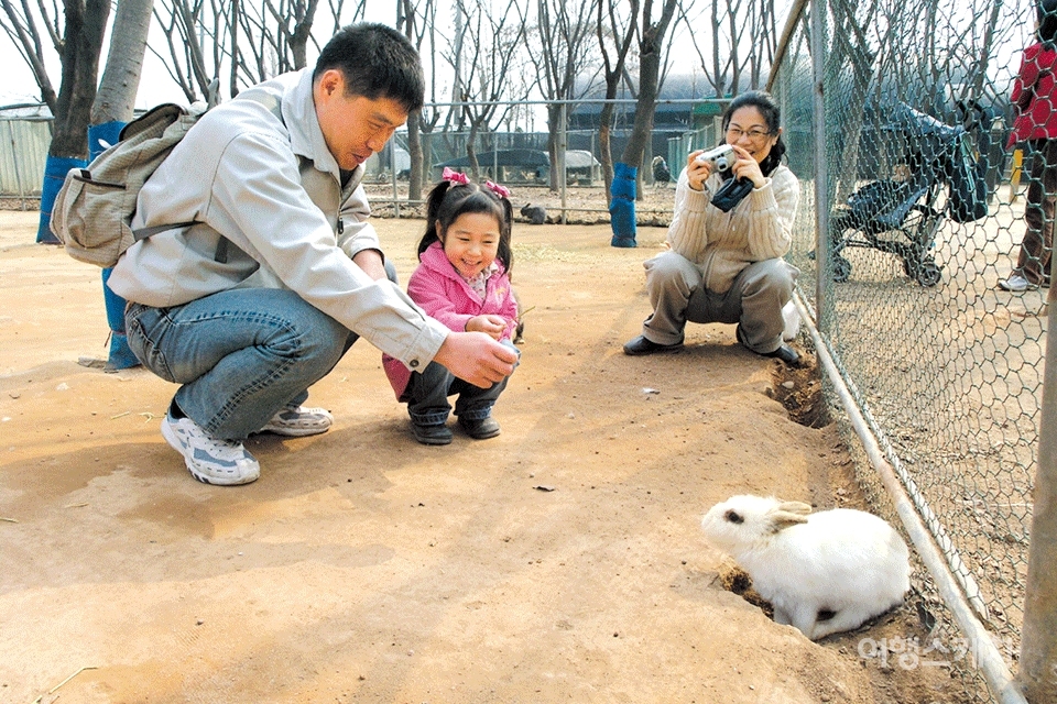 100여 마리의 토끼가 뛰어노는 토끼농장은 아이들이 가장 좋아한다. 아기토끼를 비롯해 절반 이상은 굴속에 들어가 있어 토끼의 생태도 배울 수 있는 좋은 기회. 2006년 5월. 사진 / 박지영 기자