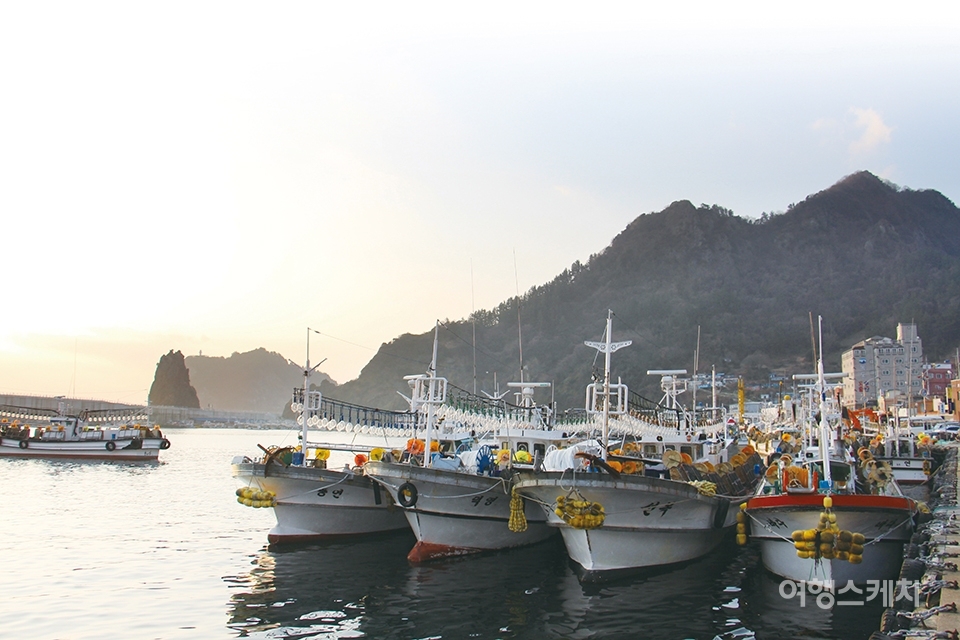 오징어잡이 배로 가득한 저동항의 아침. 2015년 3월 사진 / 박효진 기자
