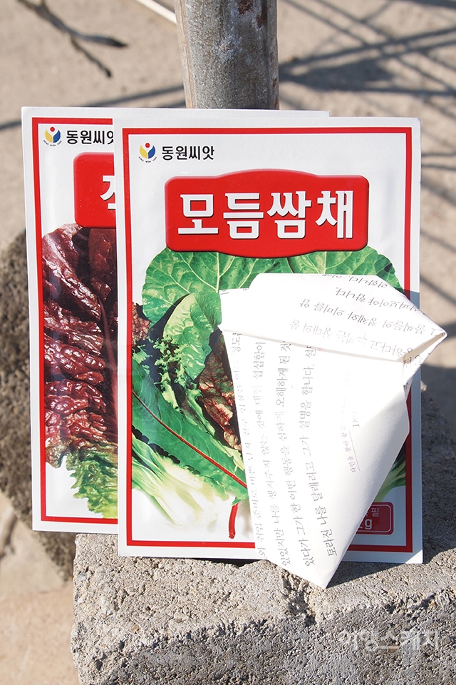 봄날 심기좋은 '모듬쌈채', 상추, 쑥갓(오각형 종이봉투)씨앗. 2015년 5월 사진 / 전설 기자