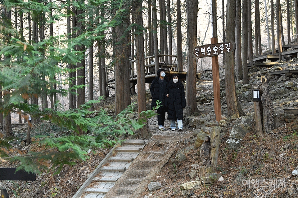 편백숲 오솔길을 산책하는 엄마와 딸. 사진 / 김기훈 사진작가