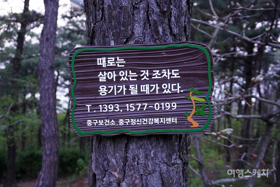 보문산을 오르내리며 나무를 잘 살피면 힘을 주는 글귀들이 붙여져 있다. 사진 / 노규엽 기자