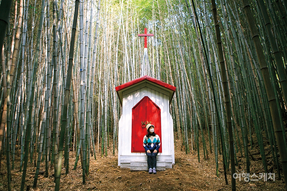대나무 숲에 설치된 작은 교회. 사진/김도형 사진작가