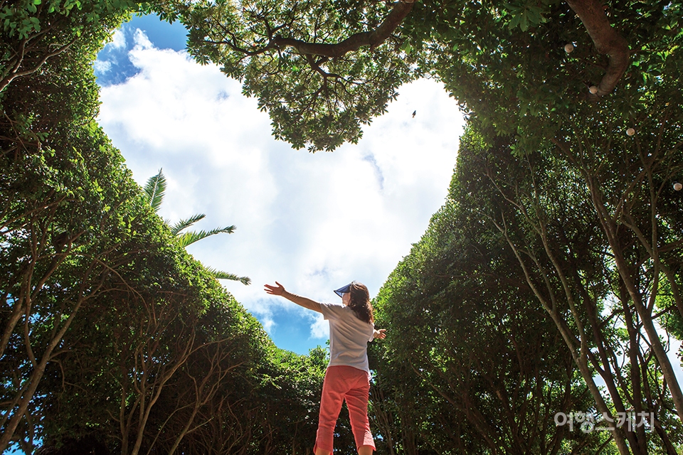 하늘 아래 펼쳐진 하트 나무 포토존.