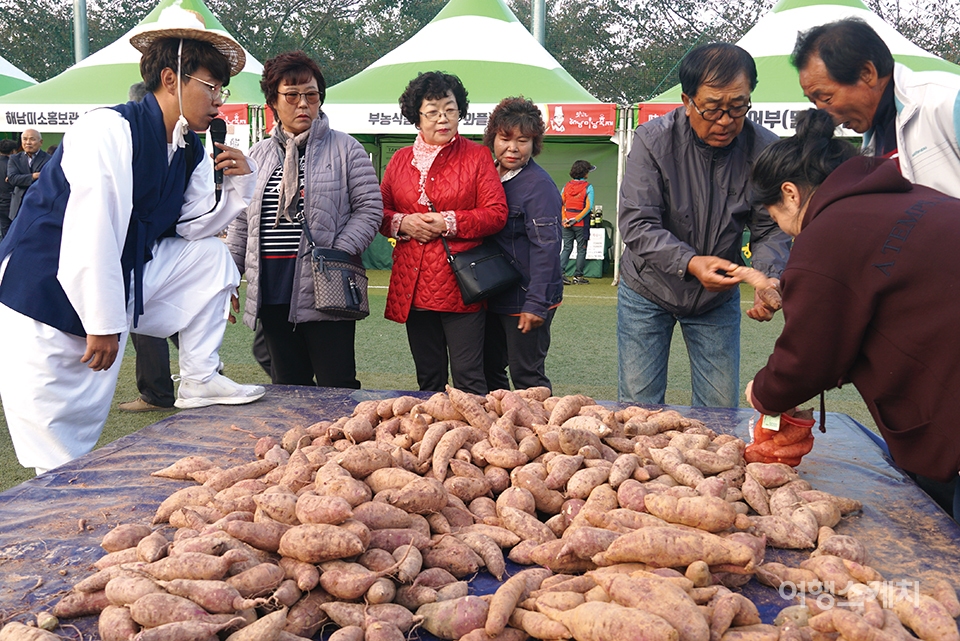 축제장에서는 고구마 담아가기 행사가 열린다.