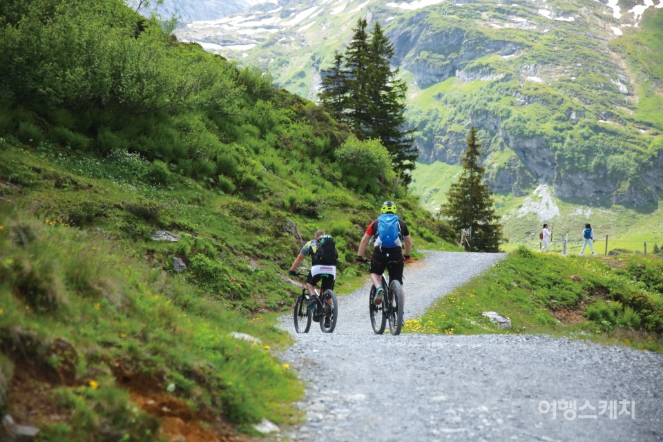 산악용 자전거를 타고 즐기는 숲과 호수. 사진 / 송윤경 여행작가