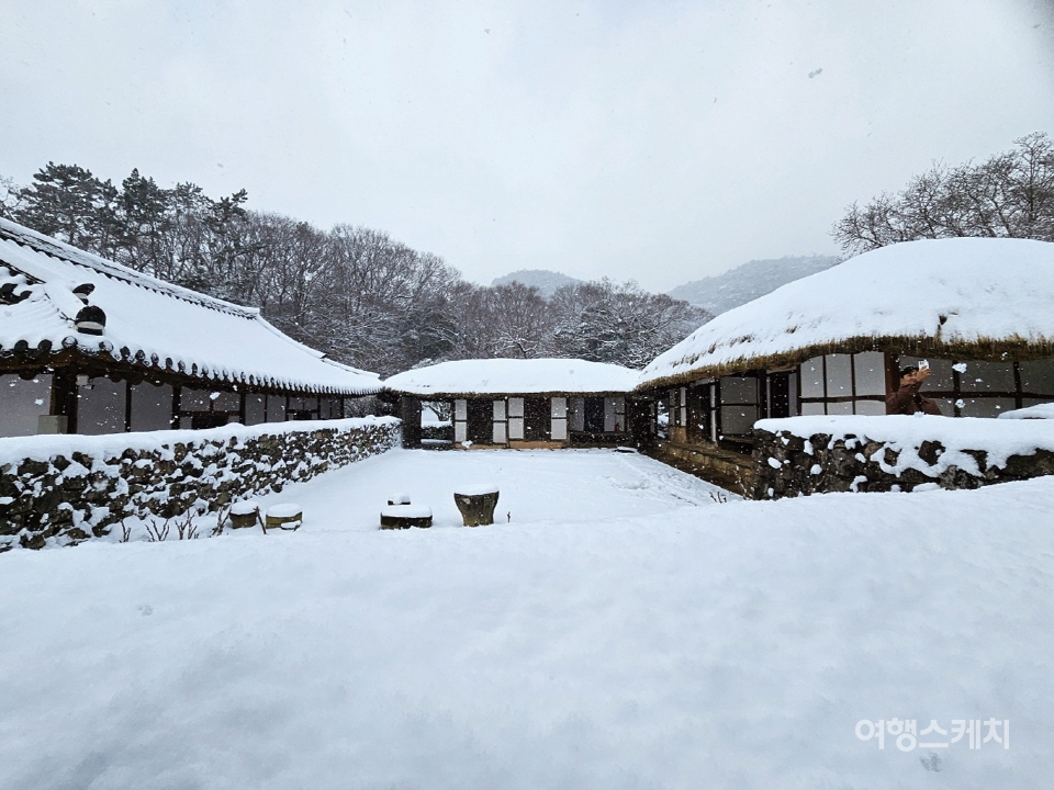 운림산방 초가집에 하얀 눈이 쌓여 있다. 사진 / 박상대 기자