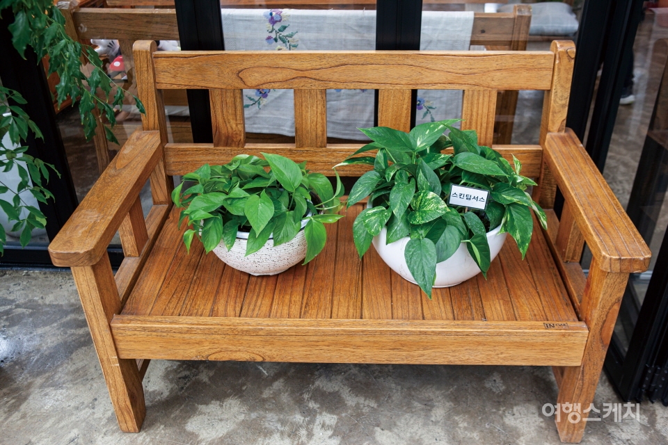 글로벌팜 아열대식물원 커피체험관에서는 소품류 식물도 구입할 수 있다. 사진 / 김수남 여행작가