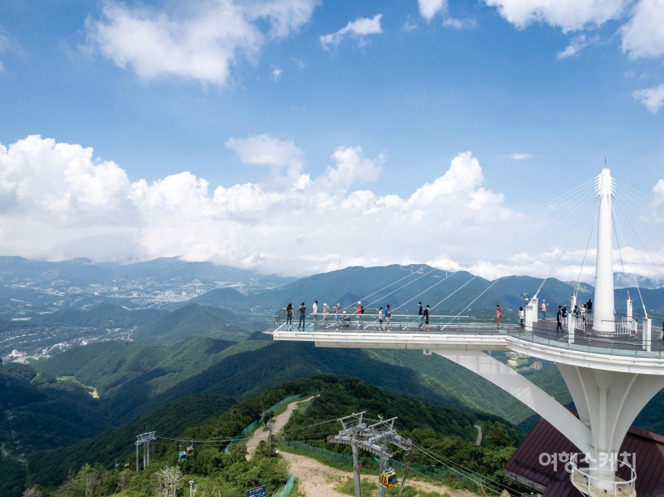 아찔한 높이의 발왕산氣스카이워크. 사진 / 민다엽 기자