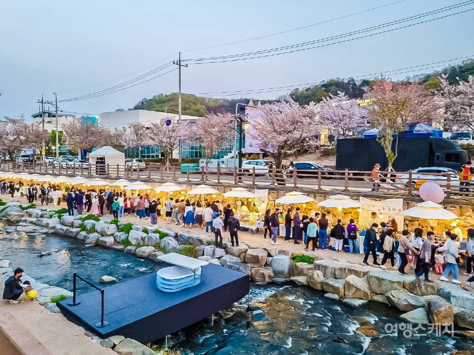 3월 22일부터 26일까지 경북 구미에서 '2024 청춘, 금오천 벚꽃 페스티벌'이 개최된다. 사진 / 구미시청